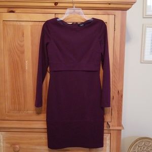 NWT Purple Dress